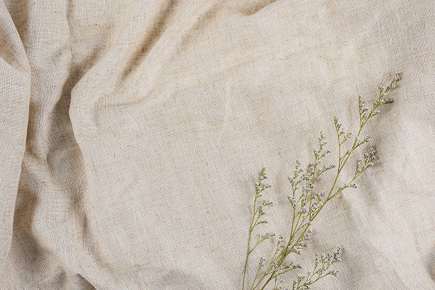 istock Dry flowers on brown fabric for media work. 530003052