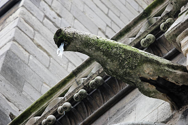 estátua de expelir gelo na fachada da catedral notre-dame. - church gothic style cathedral dark imagens e fotografias de stock