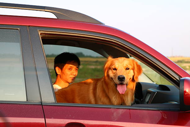 istock man with dog on island 530003420