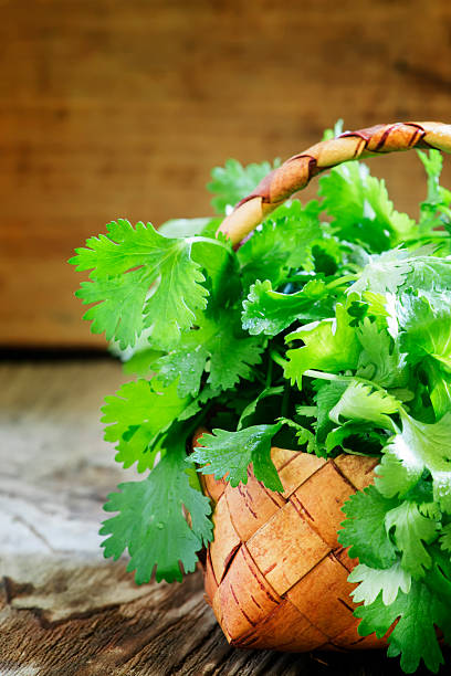 Fresh cilantro in a wicker basket, vintage wooden background