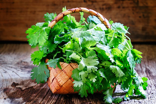 Fresh cilantro in a wicker basket, vintage wooden background