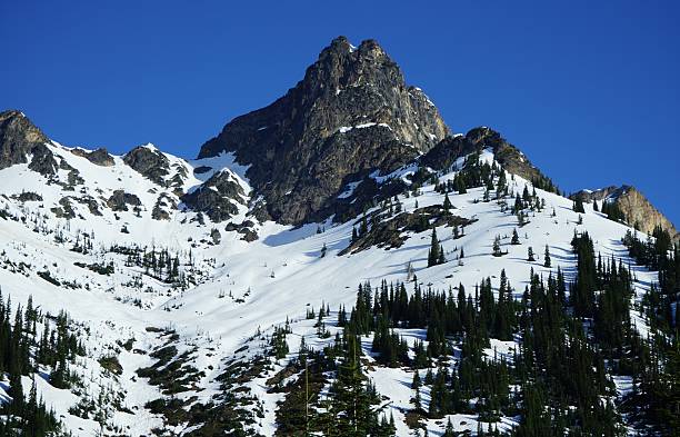 ノースカスケードストーン - north cascades national park ストックフォトと画像