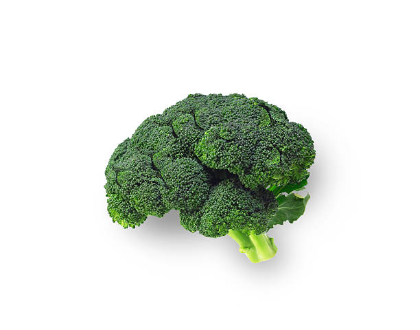 Broccolli that is shaped like brain on isolated background stock photo