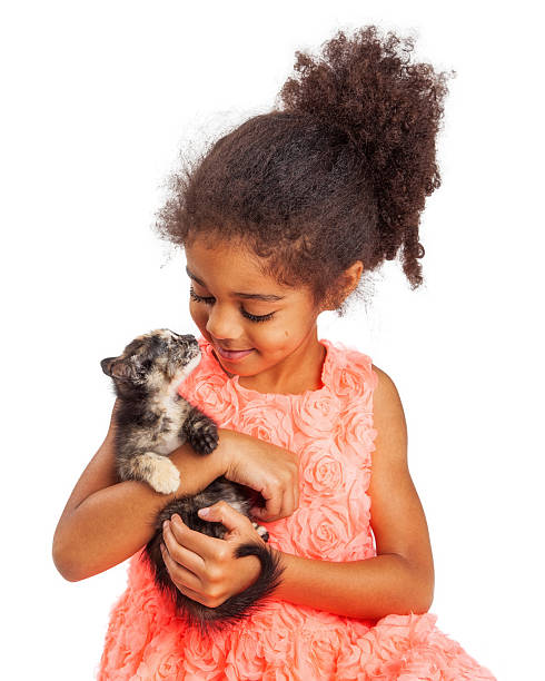 Cute child playing with a cat.