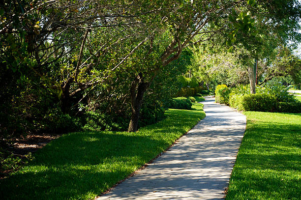 istock beautiful manicured bike path 530008494