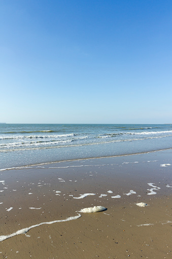 The seashore of the North Sea at Blankenberge, Belgium.