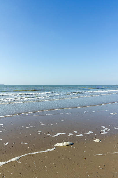 Belgium seashore stock photo