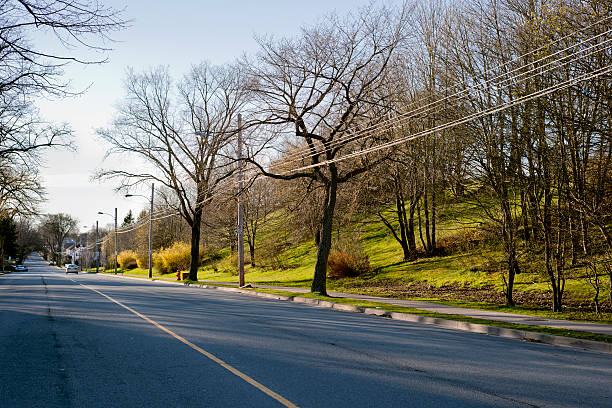 A calm early evening on an oddly quiet street near a park in halifax, nova scotia
