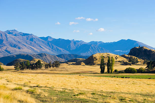 istock Picturesque landscape 530010737