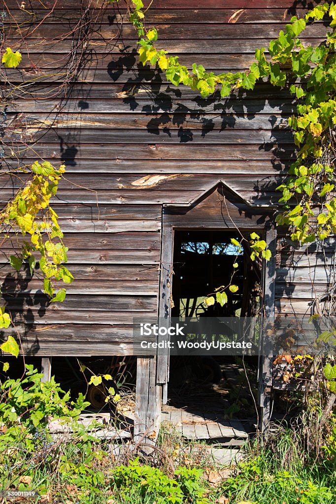 Weathered Barn Door The entrance of an old dairy barn on a sunny, summer day. Agriculture Stock Photo