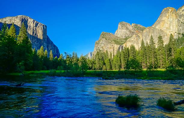 istock Yosemite National Park 530011153