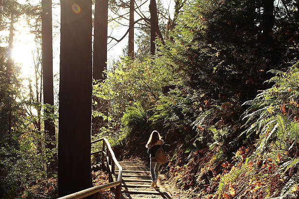 istock Young woman walks down stairs through forest 530078487