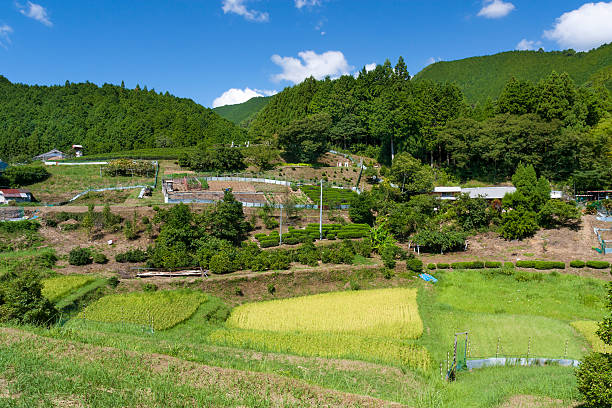 istock The Kumano Mountains - Western Japan 530083653