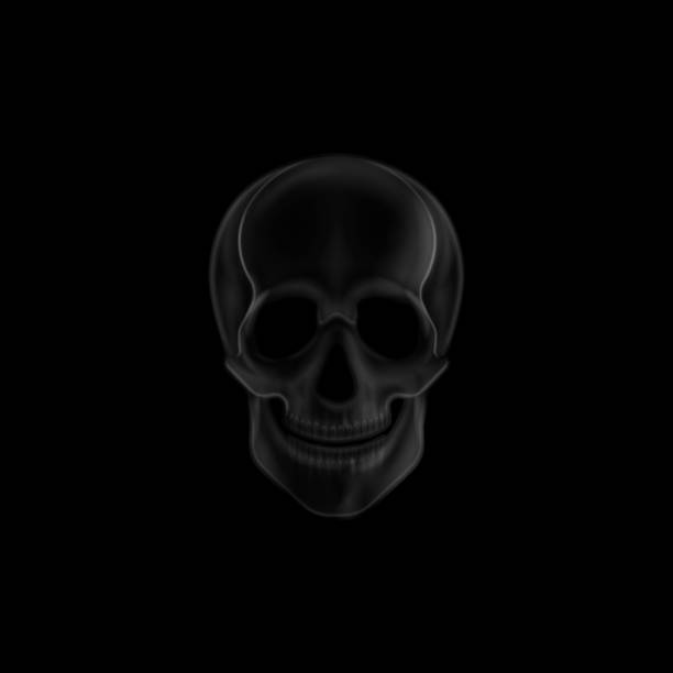 istock vector illustration of a human  skull x-ray print. medical 530084859