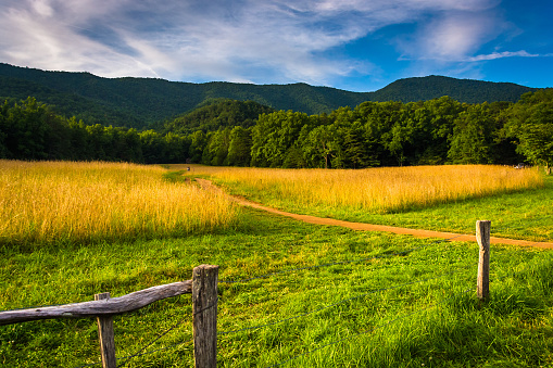Fence and field at  Cade's Cove, Great Smoky Mountains National Park, Tennessee.