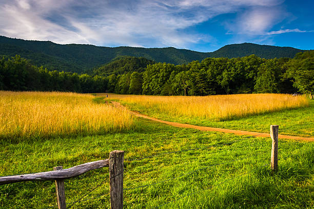 Fence and field at  Cade's Cove, Great Smoky Mountains National stock photo