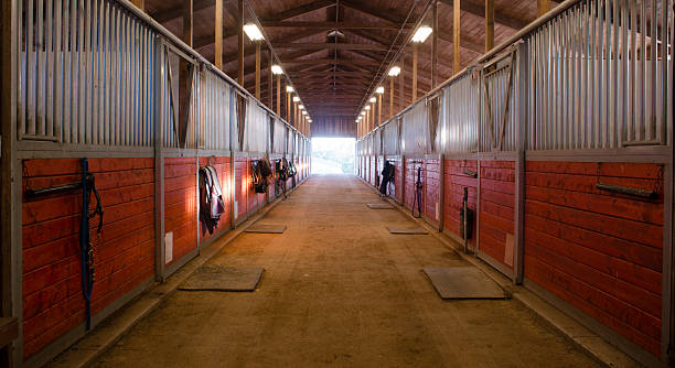 Center Path Through Horse Paddock Equestrian Ranch Stable The door shows outside from the horse stalls equestrain stable animal pen stock pictures, royalty-free photos & images