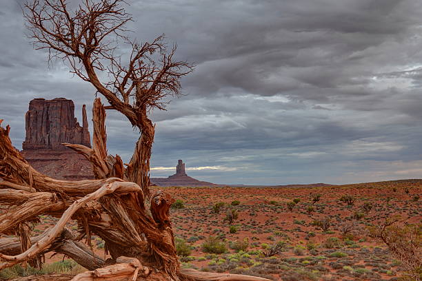 istock Navajo Land 530097879