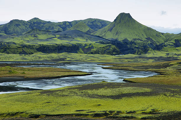 istock Volcanic landscape in Lakagigar 530099443