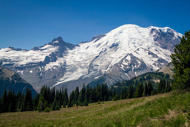 istock Meadow and Snow-Capped Mountain 530099937