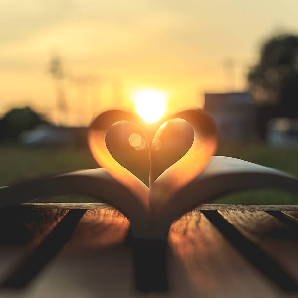 istock Close up book on table in sunset time 530099941
