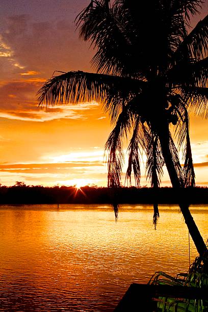 istock Golden sunset on the Sea 530100605