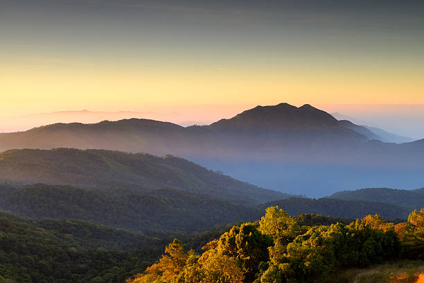 istock Mountain views, Landscape,Viewpoint on Doi Inthanon. 530101109