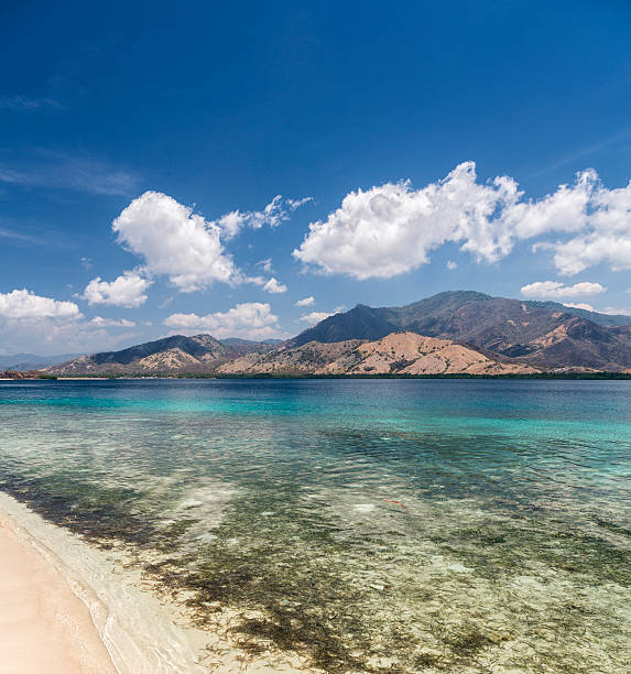 istock Mountain range and clear waters in Flores island, Indonesia 530103115