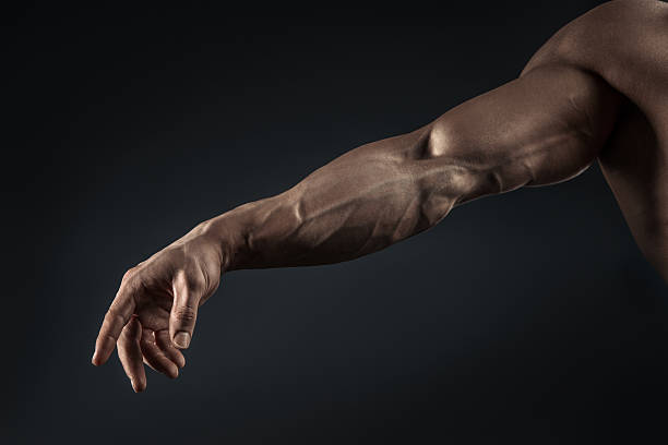 Close-up of athletic muscular arm and torso Handsome muscular bodybuilder demonstrates his fist and vein, blood vessels. Studio shot on black background. deltoid photos stock pictures, royalty-free photos & images