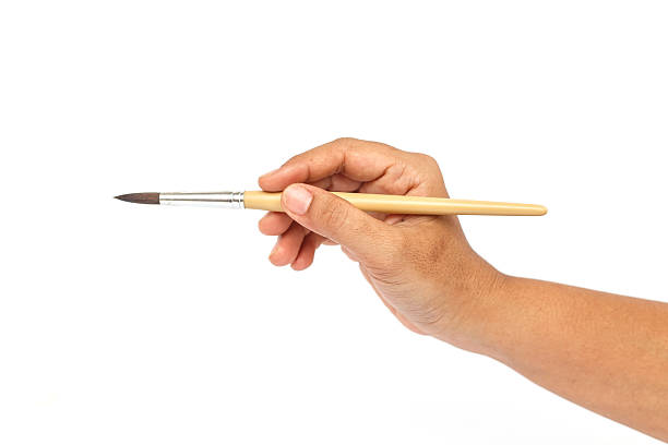 istock Hand holding paintbrush isolated on white background 530118001
