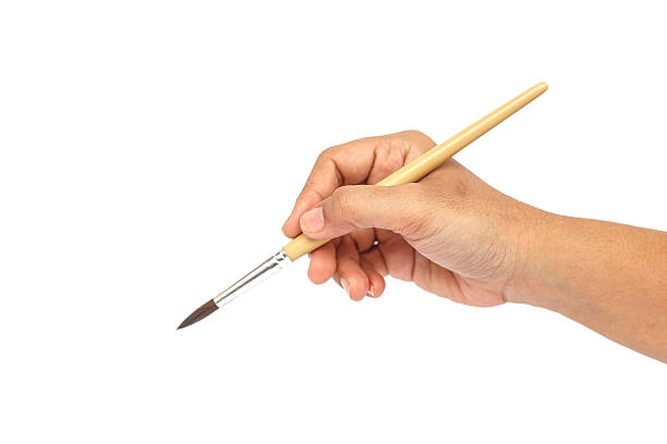 istock Hand holding paintbrush isolated on white background 530118003