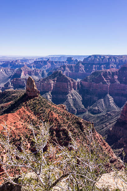 parque nacional do grand canyon. borda norte. vista de point imperial - north american tribal culture grand canyon indian culture navajo - fotografias e filmes do acervo