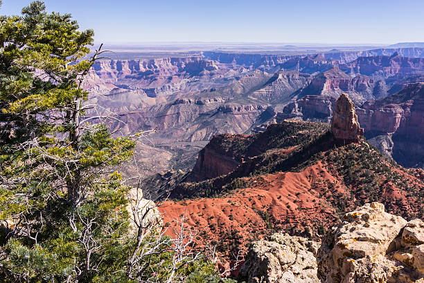 parque nacional do grand canyon. borda norte. vista de point imperial - north american tribal culture grand canyon indian culture navajo - fotografias e filmes do acervo