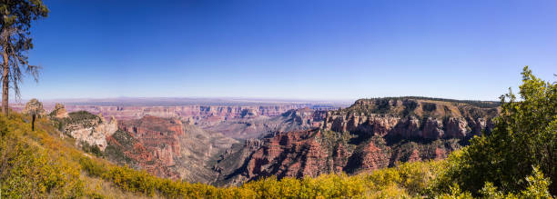 parque nacional do grand canyon. de vista do roosevelt point (north rim) - north american tribal culture grand canyon indian culture navajo - fotografias e filmes do acervo