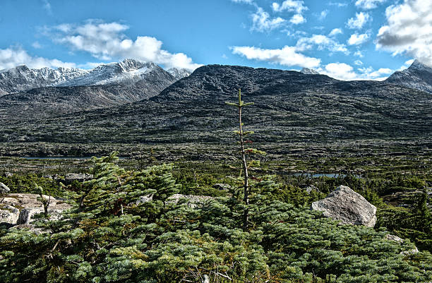 istock Yukon Territory new Skakway 530119117