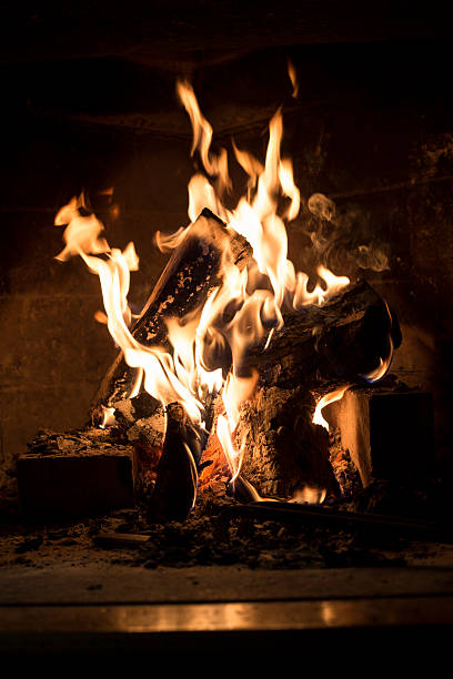 istock Closeup of burning home fireplace 530119519