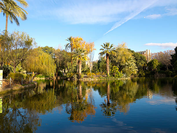 istock Lake of Ciutadella Park 530120697