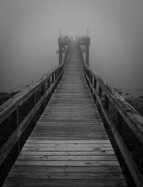 istock Black and White Foggy Pier 530121755