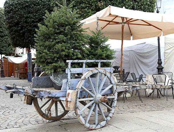 istock Cart carrying a Christmas tree in December 530122443