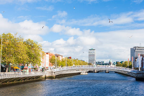 istock Ha penny Bridge in Dublin 530123147
