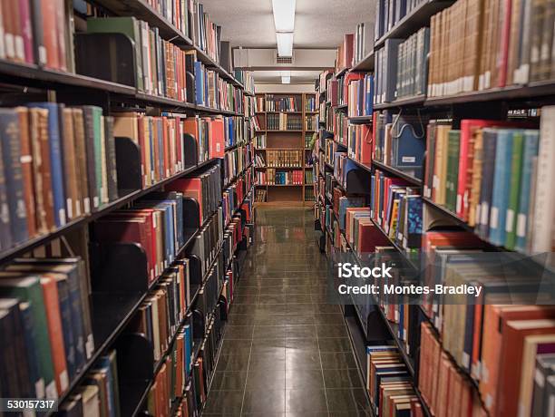 Campus Library Perspective Stock Photo - Download Image Now - Corridor, Library, Book