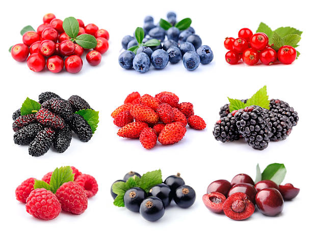 istock Collection of berry 530157571