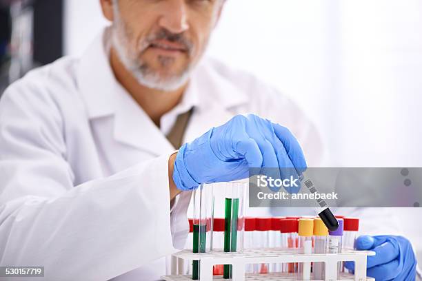 The Research And Development Department Stock Photo - Download Image Now - Adult, Adults Only, Biologist