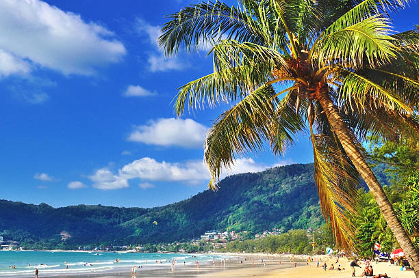patong strand mit kokospalmen - strand patong stock-fotos und bilder