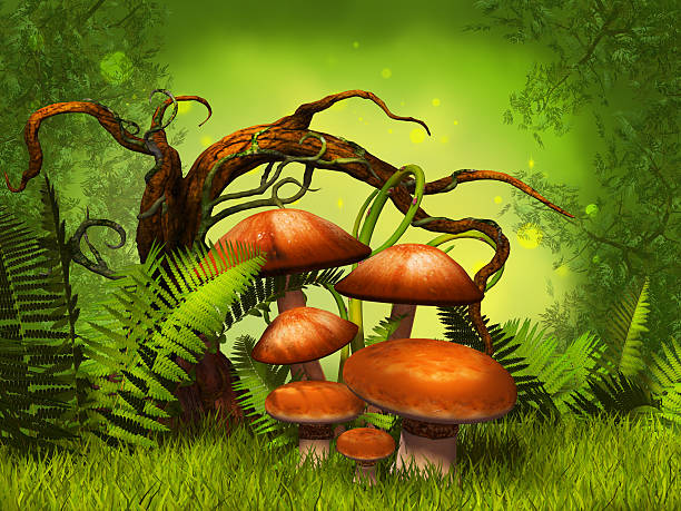 istock mushrooms fantasy forest 530161429