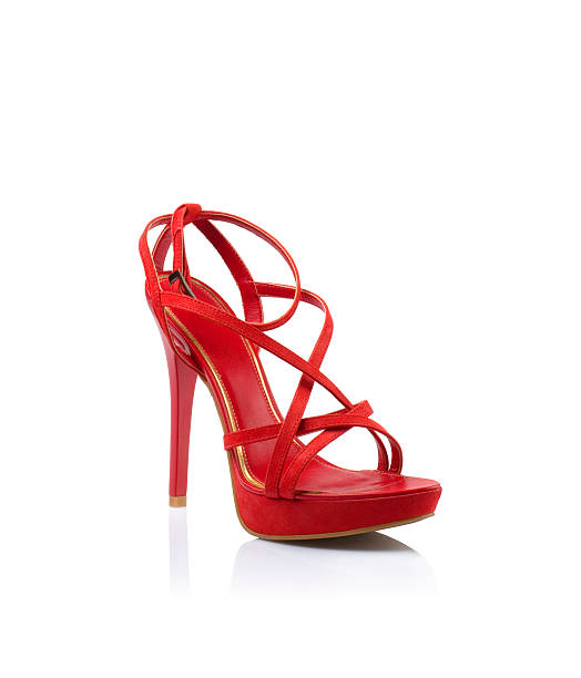 istock Fashionable women shoe 530162919