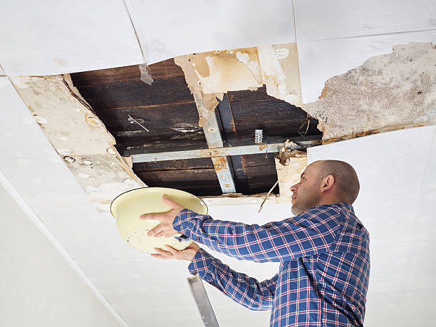 istock Man Collecting Water In basin From Ceiling 530181512