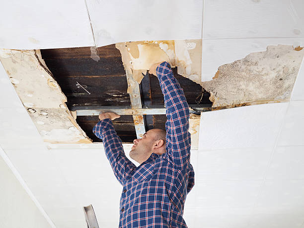 homem reparar fechada tecto. - mold imagens e fotografias de stock