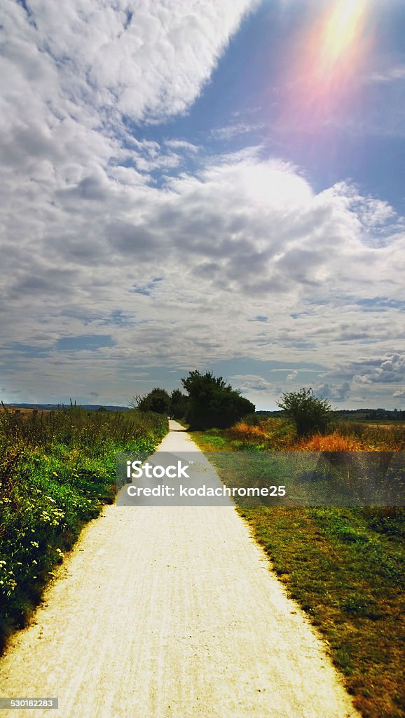 field a field road lane and path in the countryside in a rural environment Agricultural Field Stock Photo