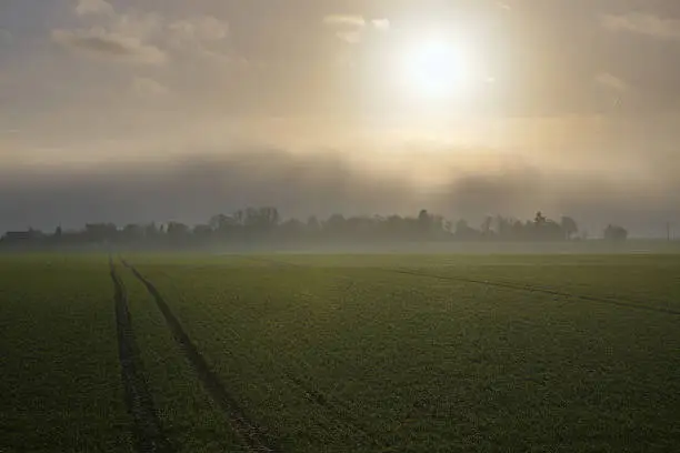 Photo of Rising Storm Over Grubenhagen